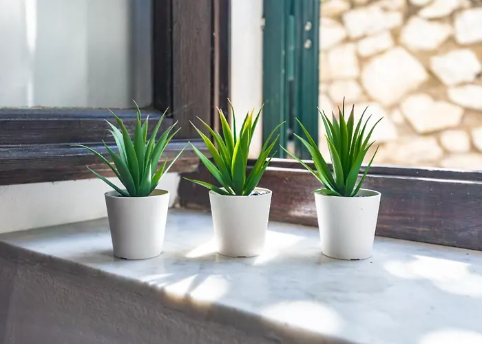 Acquariese - Casa Margot E Casa Giotto Apartment *